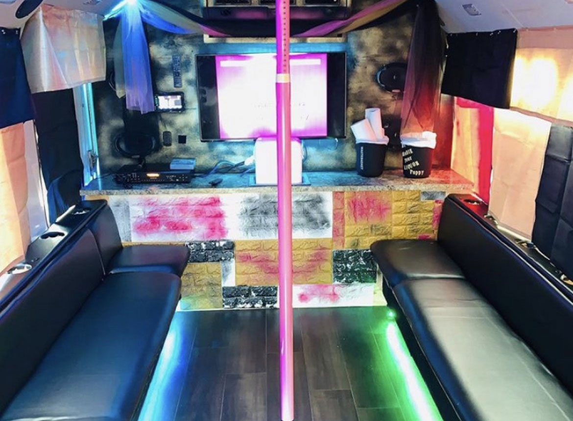 Used 2011 Ford E350 Limo Bus Party Bus For Sale