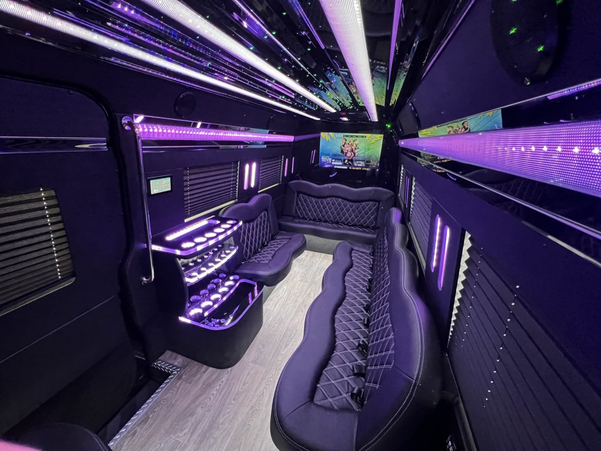 New 2023 Platinum Big Toys Mercedes-Benz 14 Passenger Limo Sprinter For Sale