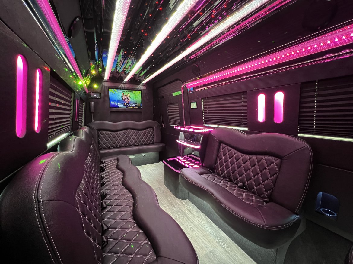 New 2023 Platinum Big Toys Mercedes-Benz 14 Passenger Limo Sprinter For Sale