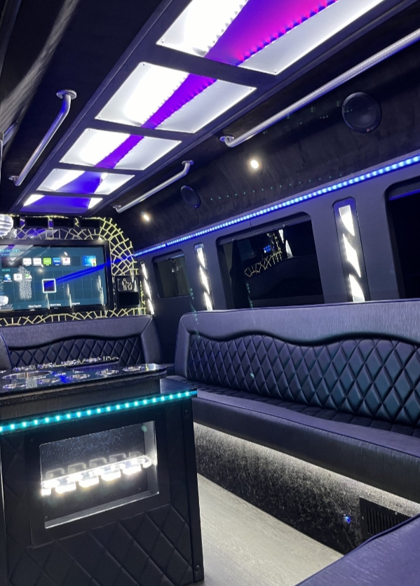 2016 Mercedes-Benz Sprinter Limousine