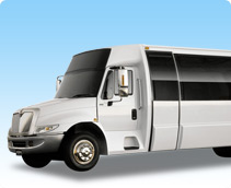 28-32 Passenger Party Bus